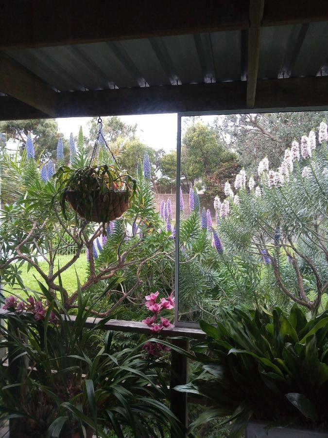 Lakes Entrance Waterfront Cottages With King Beds Exterior photo