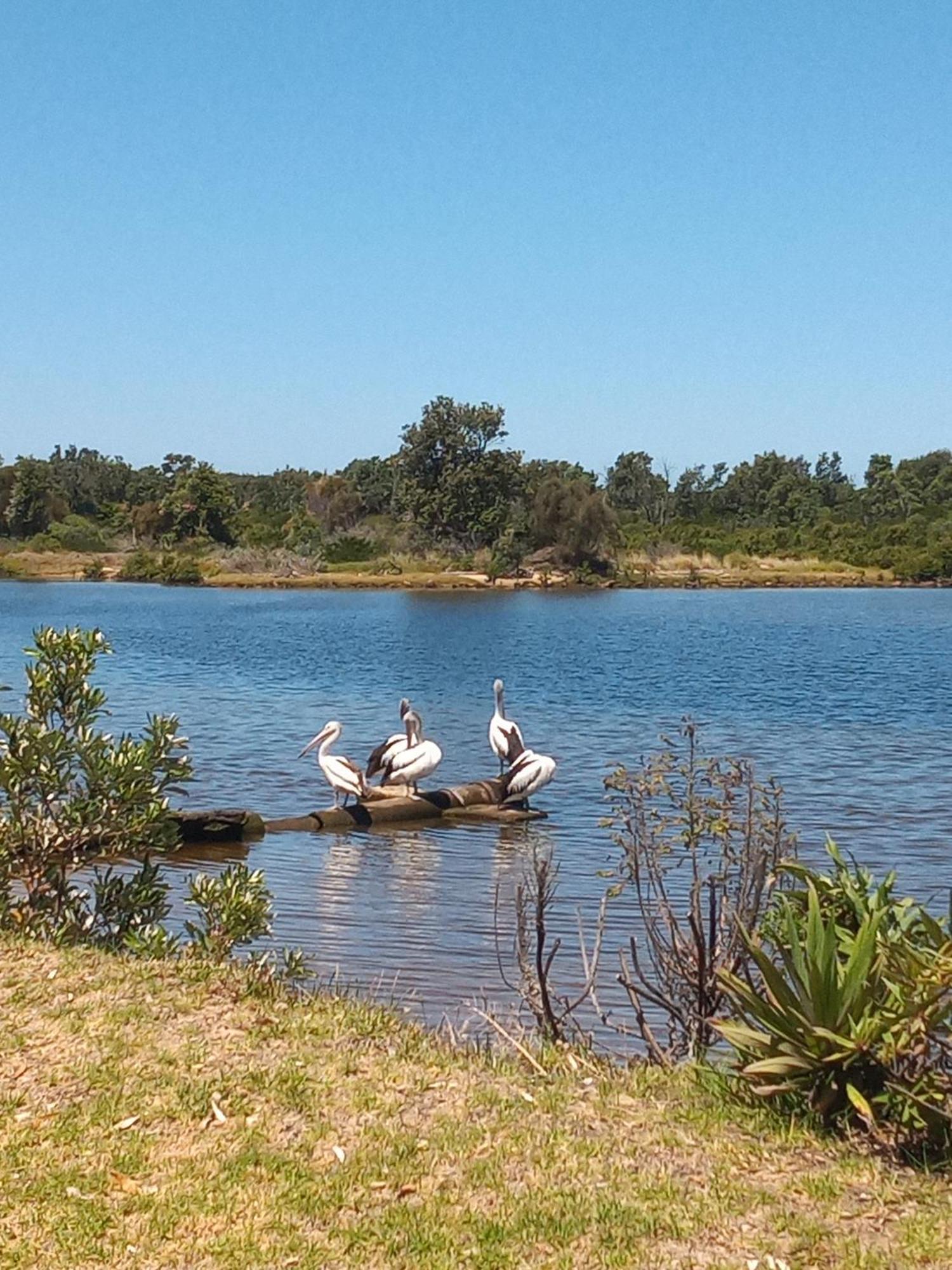 Lakes Entrance Waterfront Cottages With King Beds Exterior photo