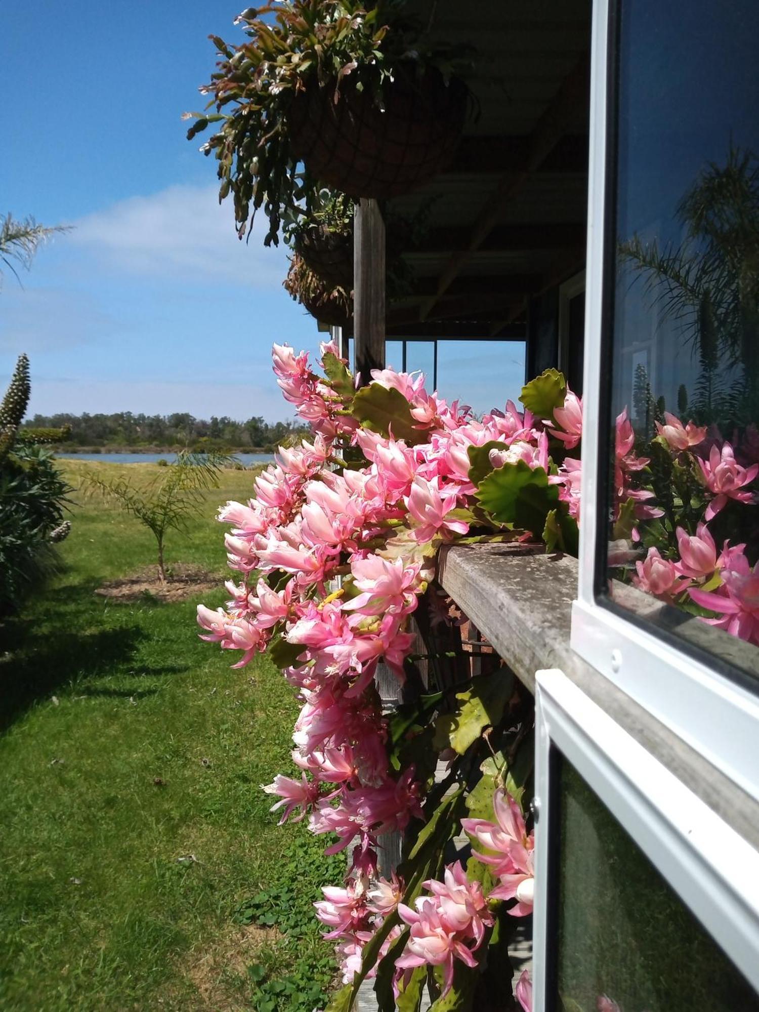 Lakes Entrance Waterfront Cottages With King Beds Exterior photo